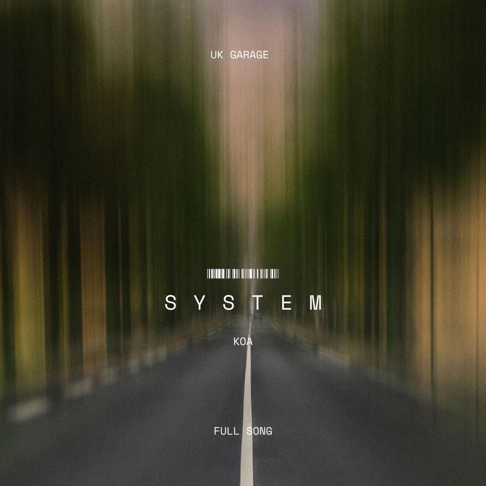 Album artwork for system by KOA