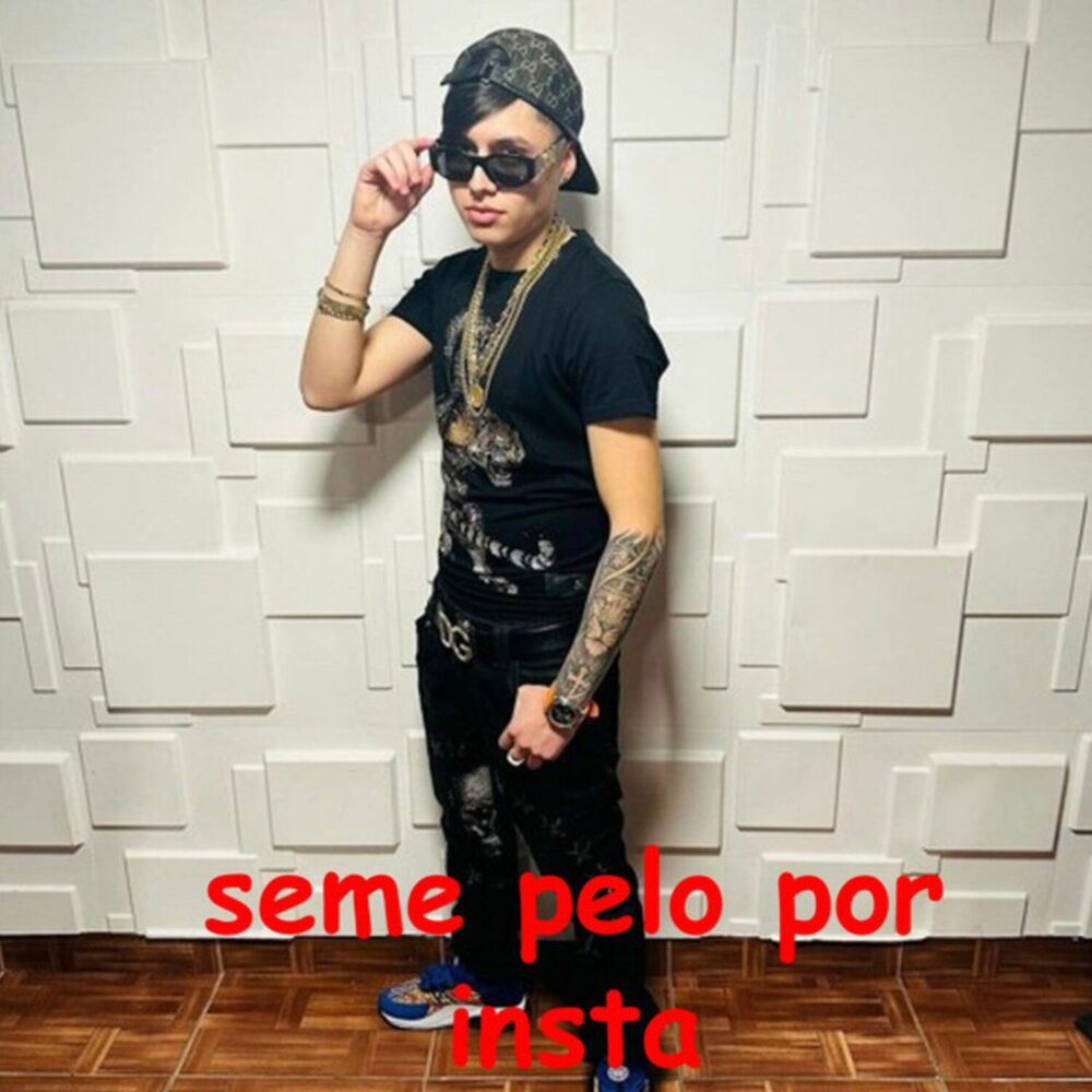 Picture of Se Me Pelo Por Insta