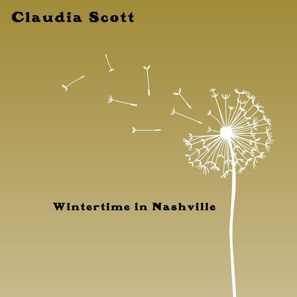Picture of Wintertime in Nashville
