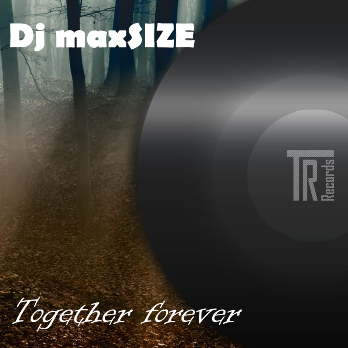 Album cover of Together Forever