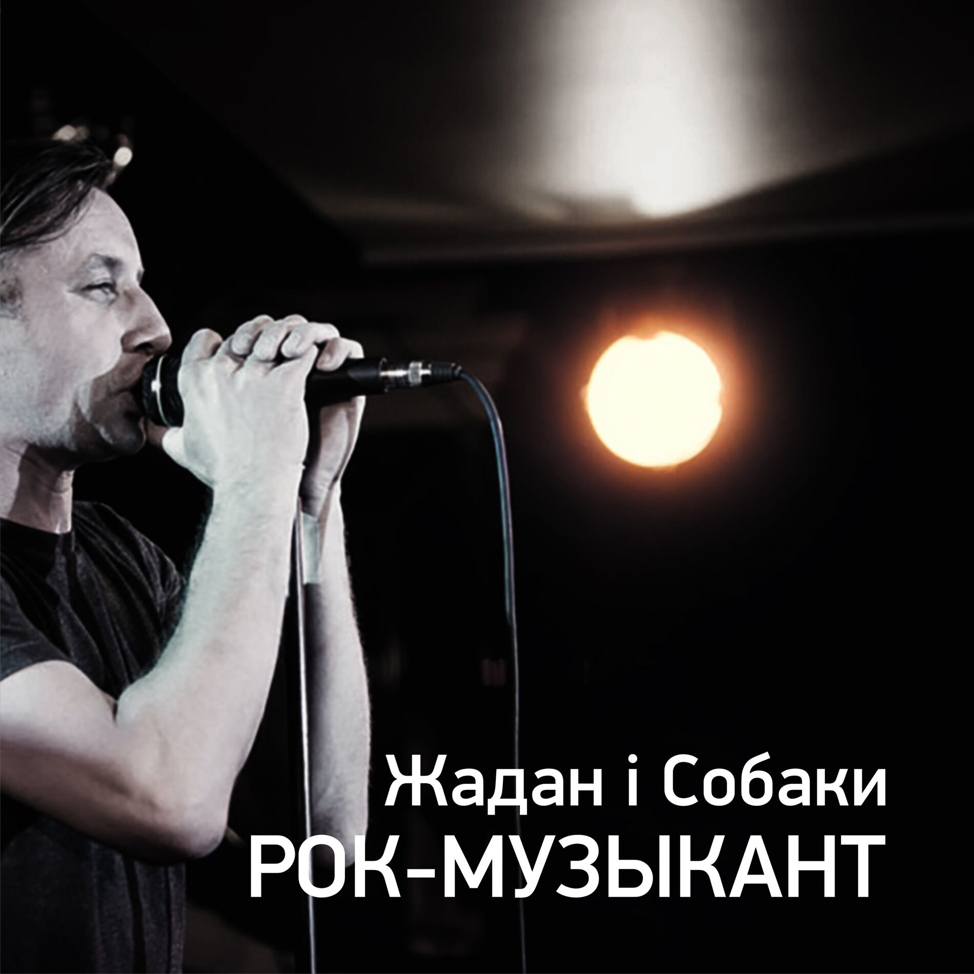 Album cover of Рок-музыкант