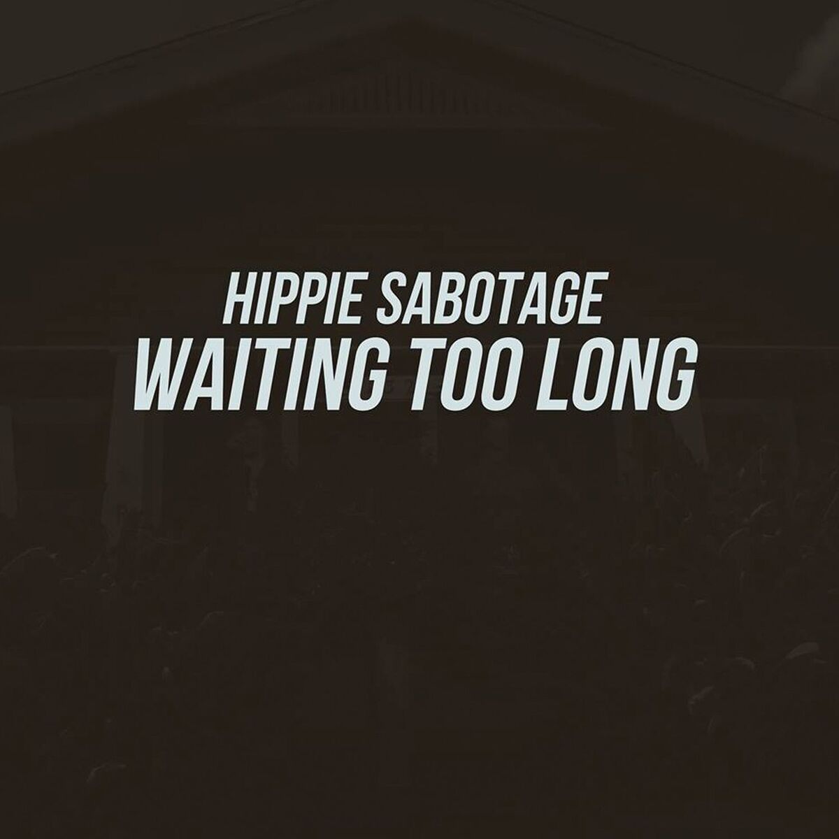 Album cover of Waiting Too Long