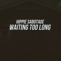 Cover of Waiting Too Long