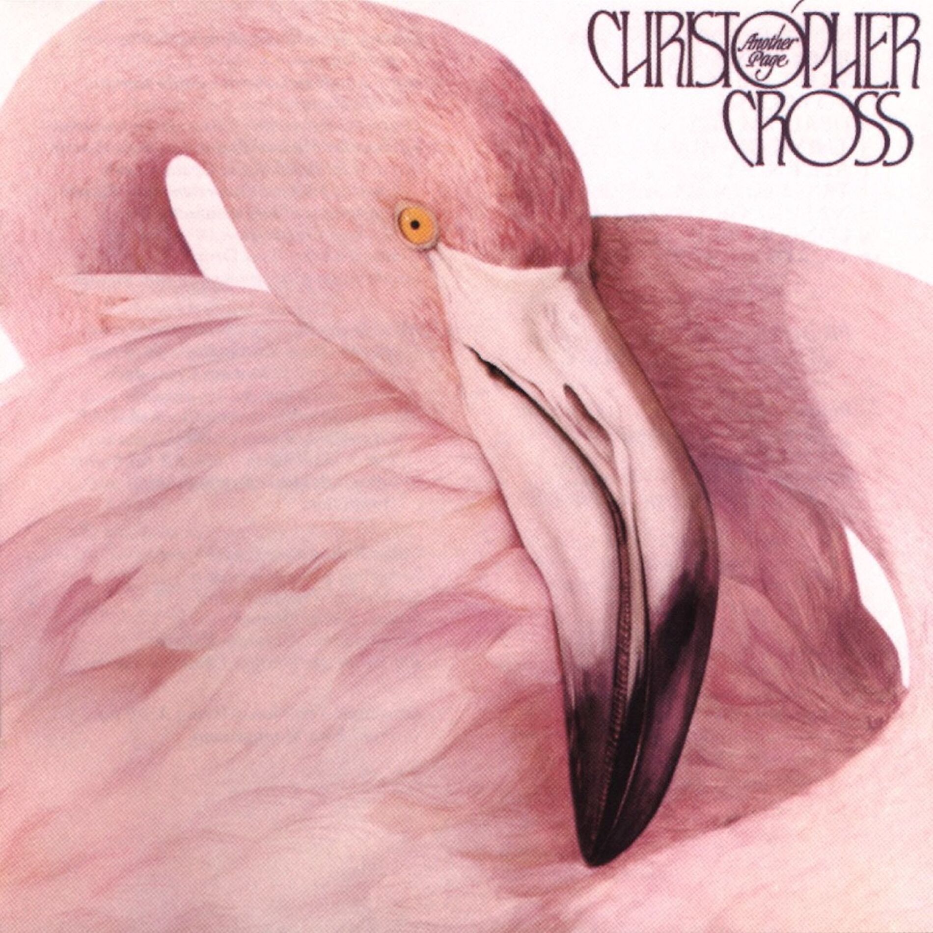 Album cover of No Time For Talk