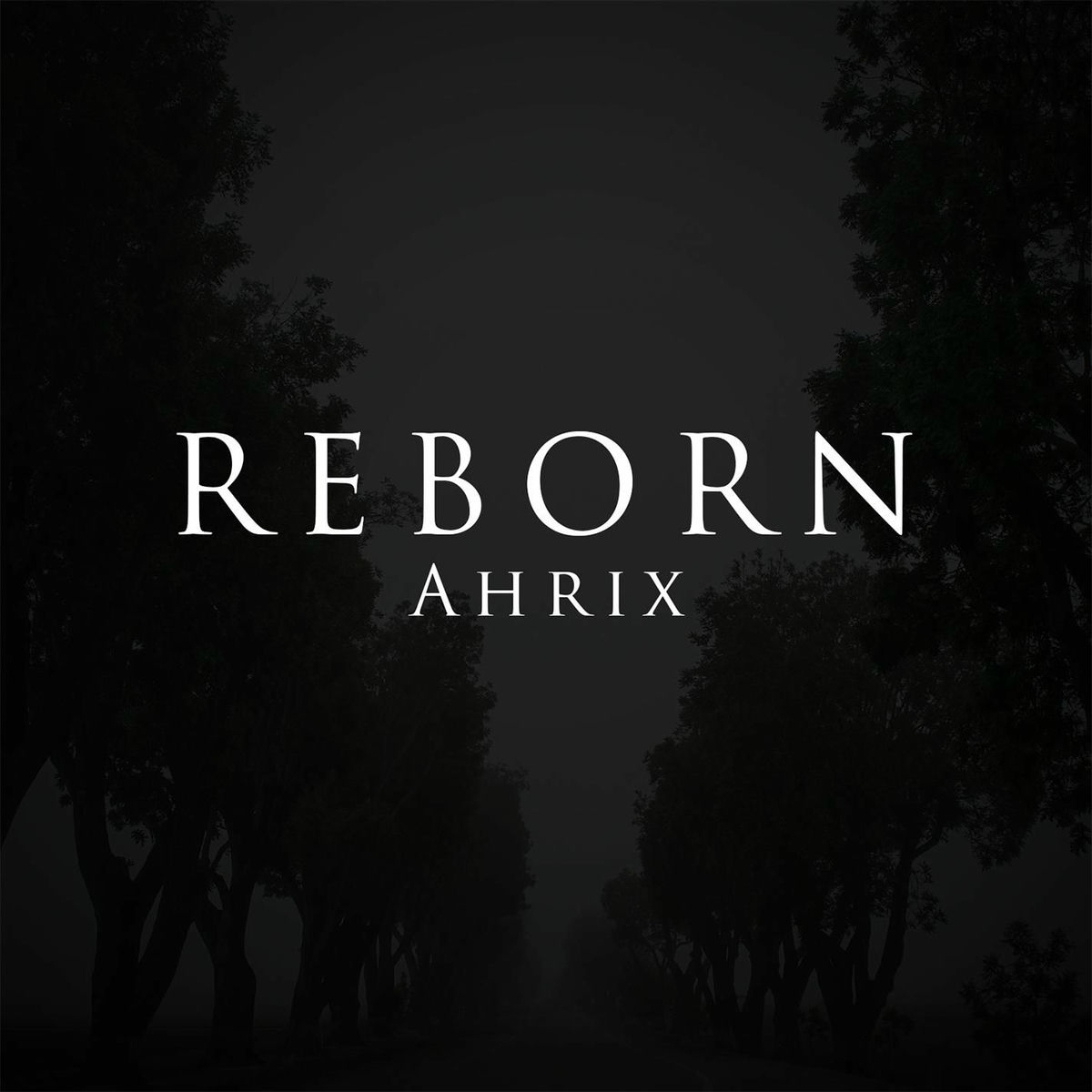 Album cover of Reborn