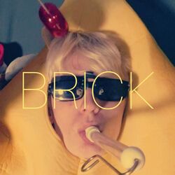 Cover of Brick