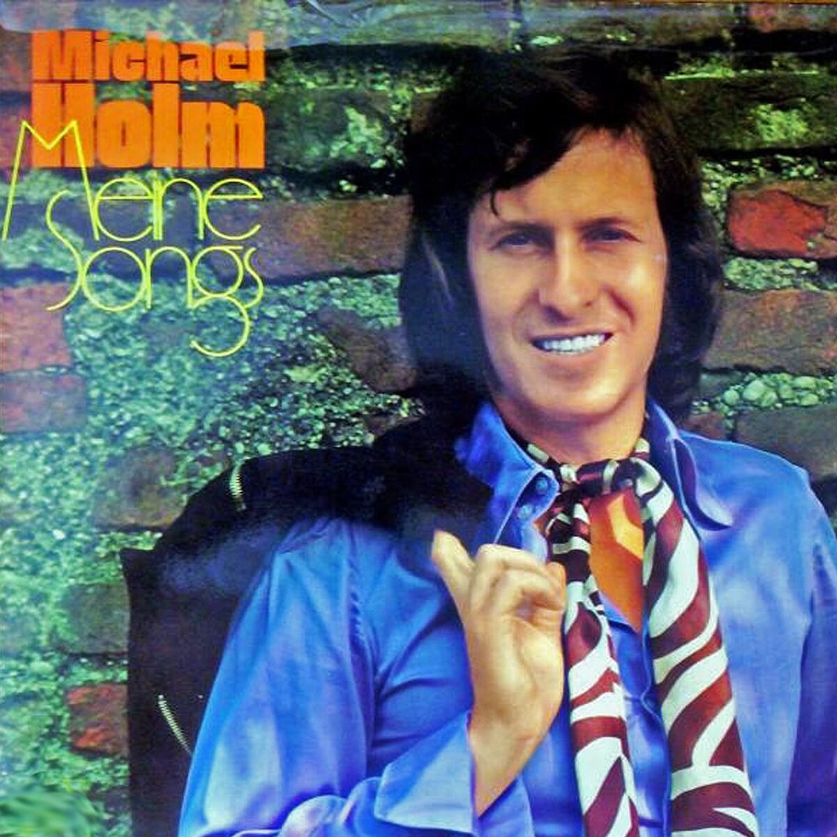 Album cover of Meine Songs
