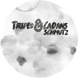 Cover of Schmutz