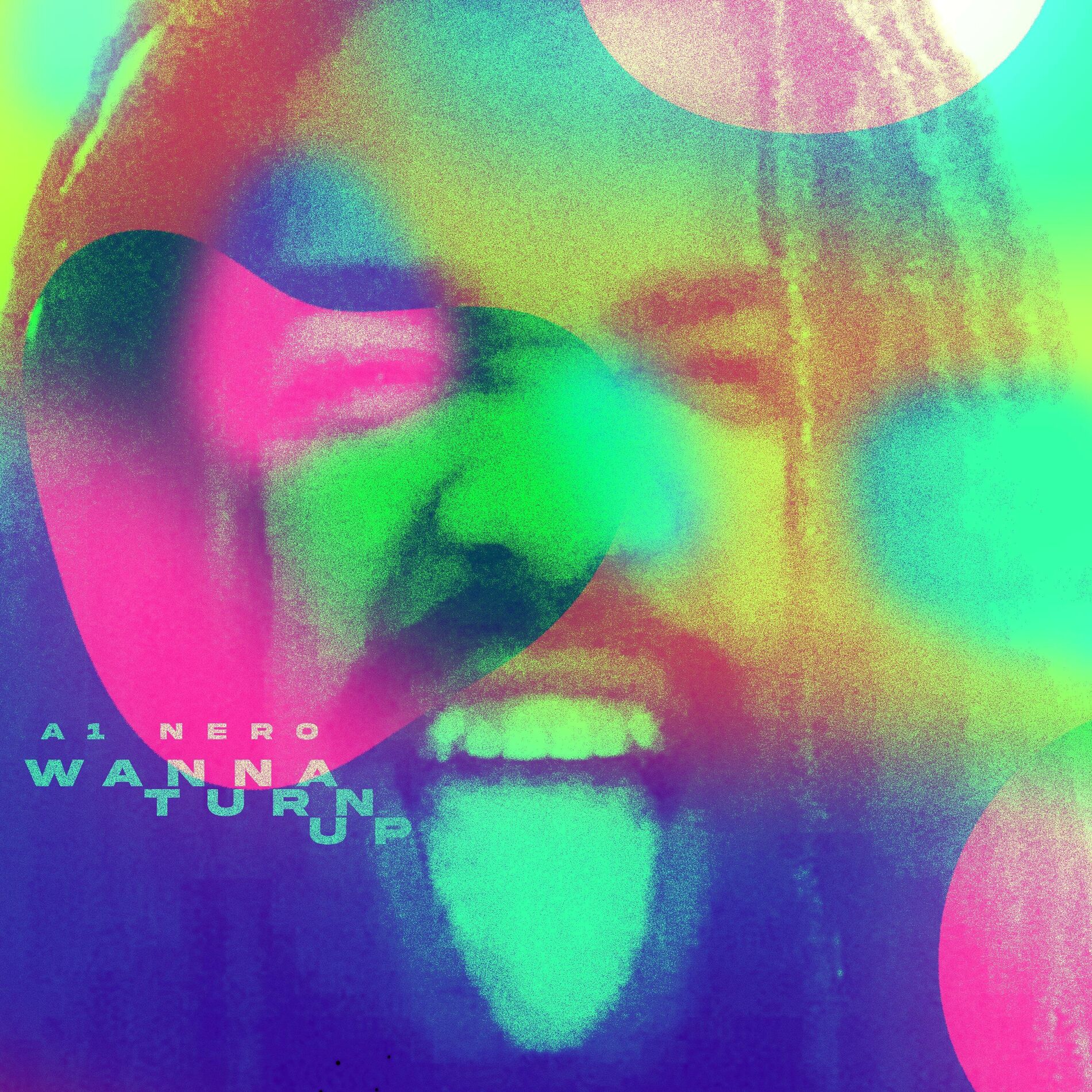 Album cover of Wanna turn up