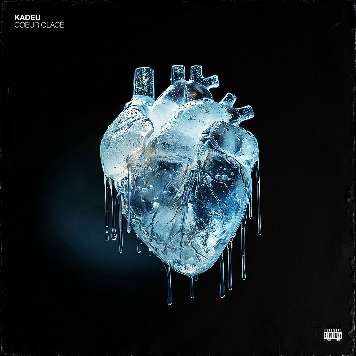 Album cover of Coeur glacé