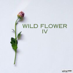 Cover of Wild Flower 4