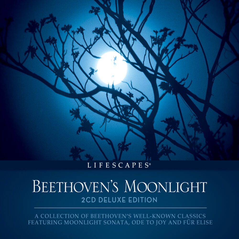 Picture of Beethoven's Moonlight