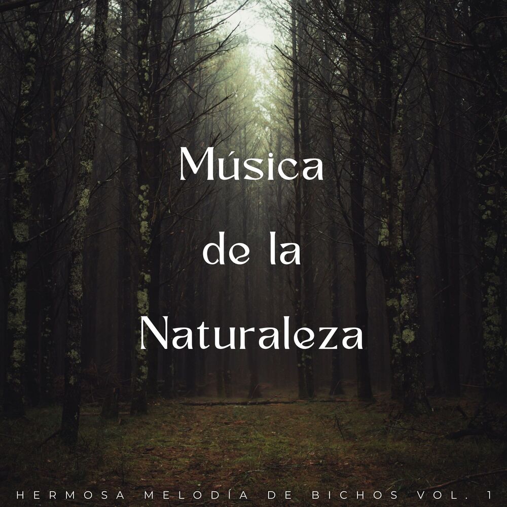 Picture of Música De La Naturaleza: Hermosa Melodía De Bichos Vol. 1