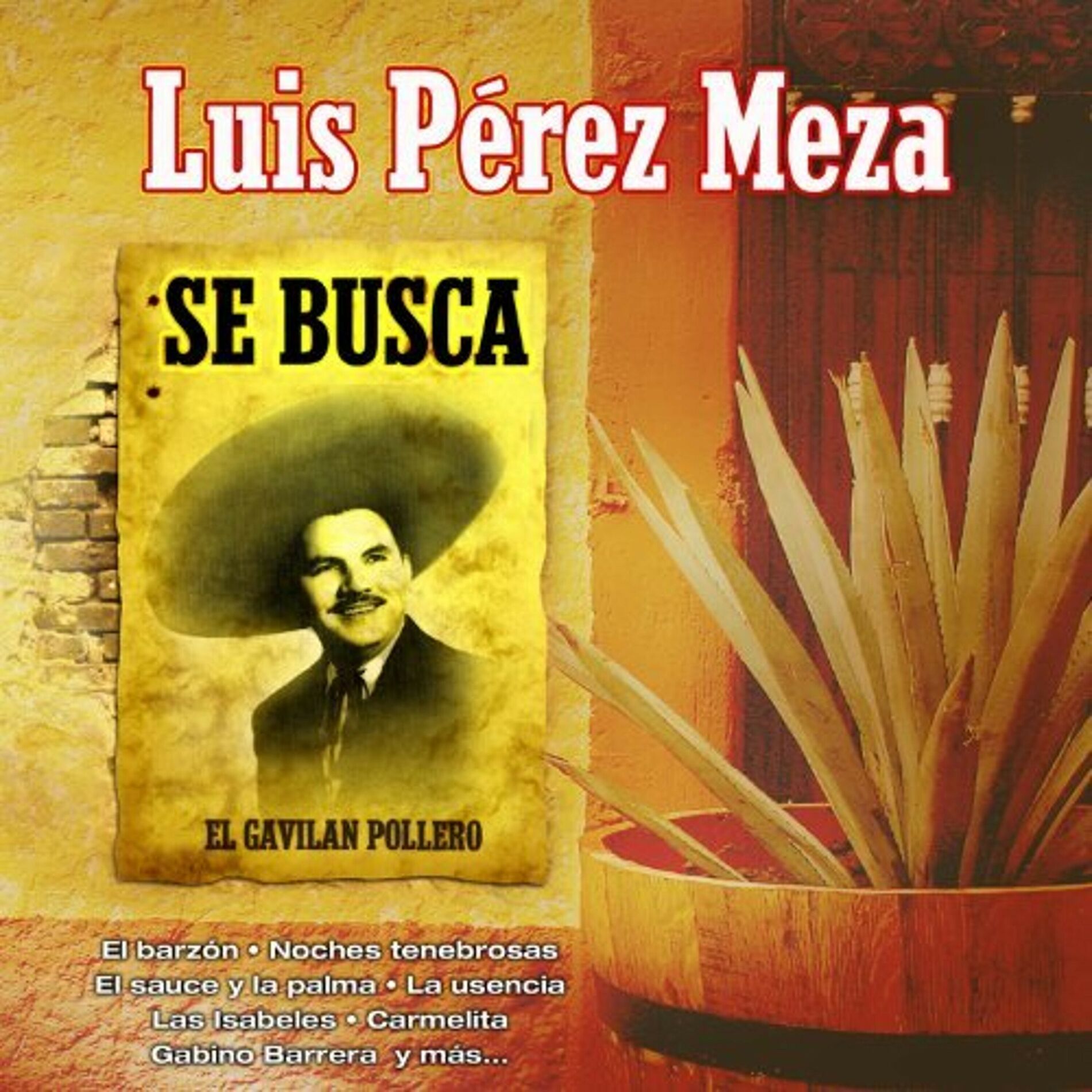 Album cover of Se Busca