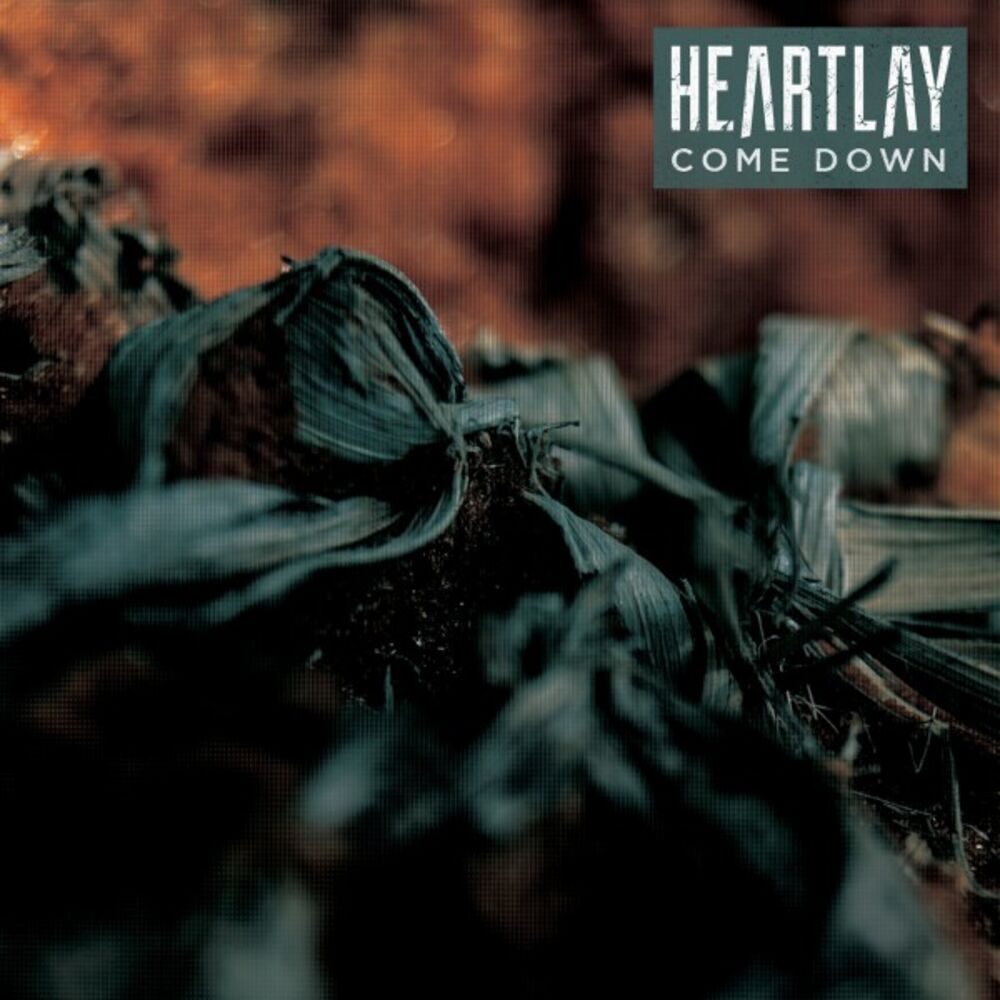Picture of Come Down