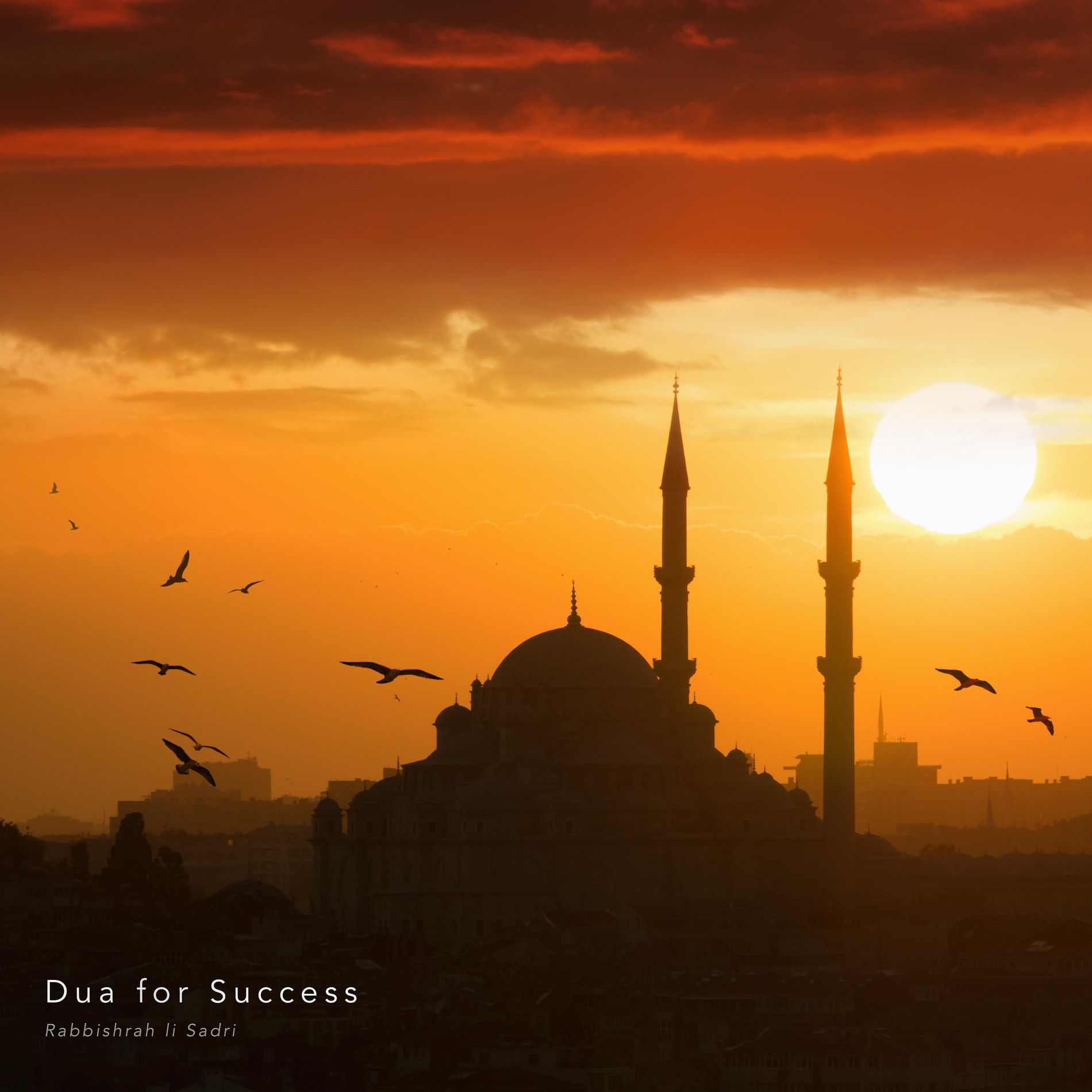 Album cover of Dua for Success (Rabbishrah li Sadri)