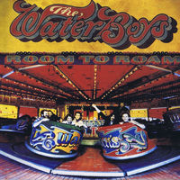 The Waterboys - Room to Roam (Deluxe Version) | Deezer