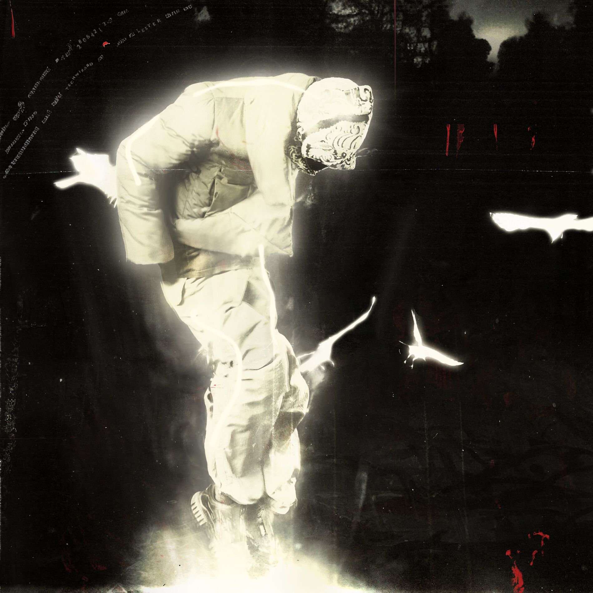 Album cover of wizard confirmé