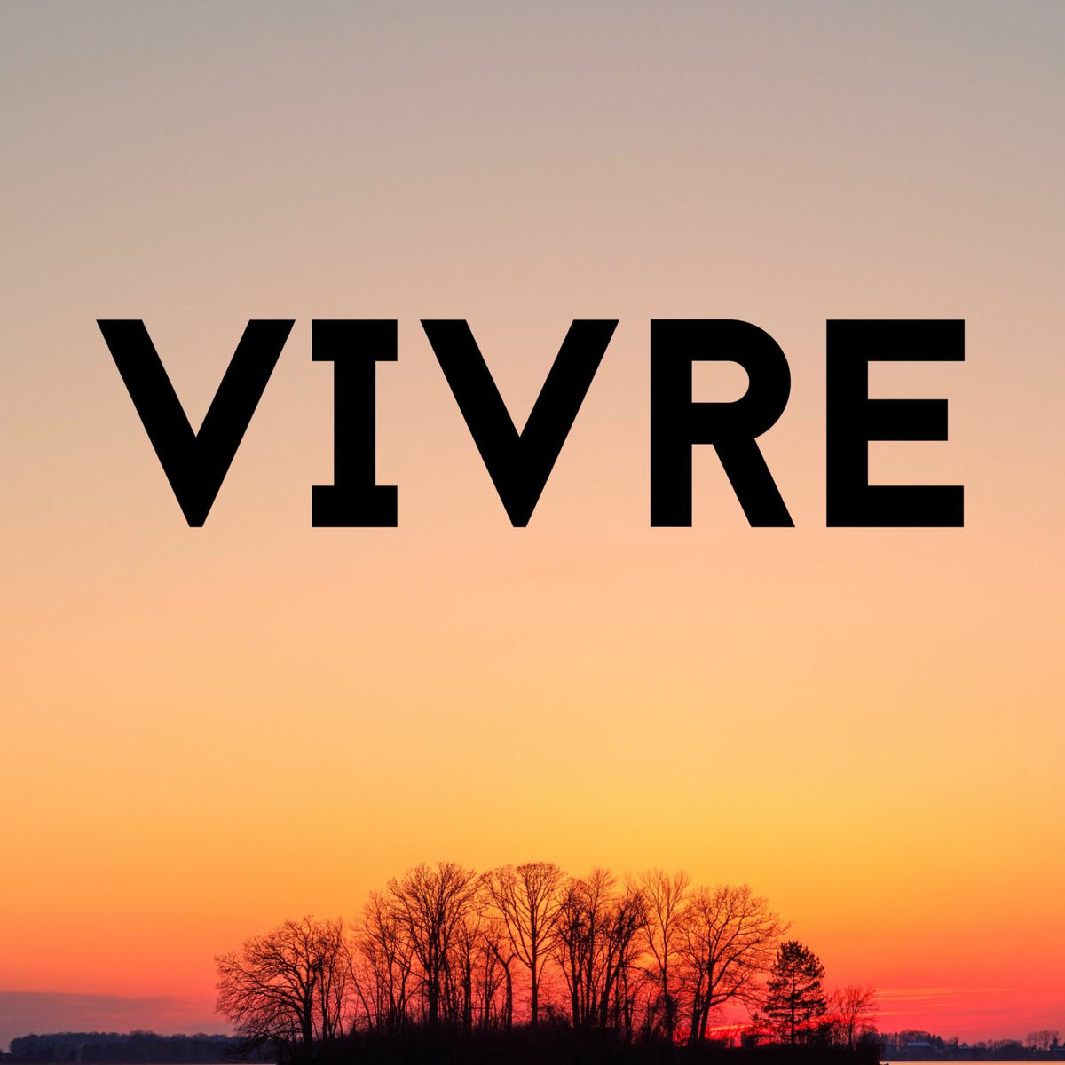 Album cover of Vivre