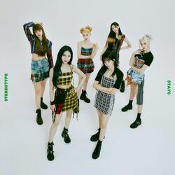 Cover of STEREOTYPE