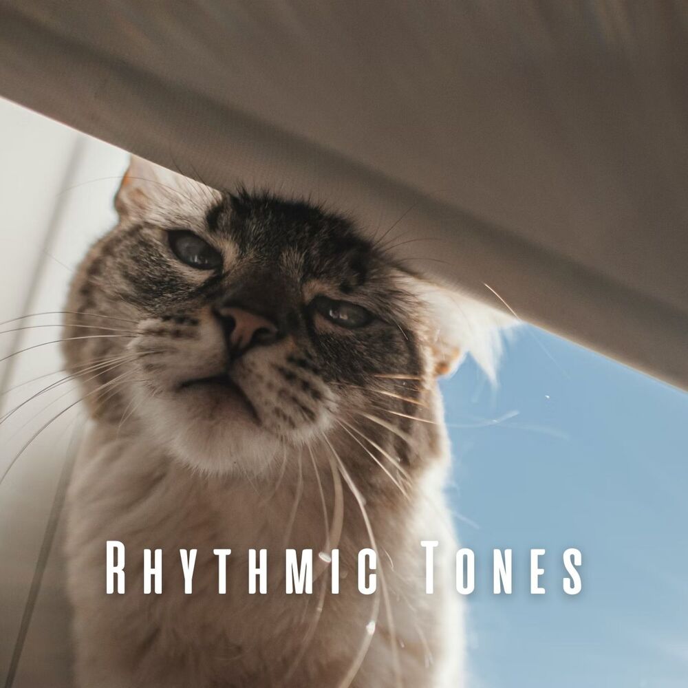 Picture of Rhythmic Tones: Music for Blissful Cats