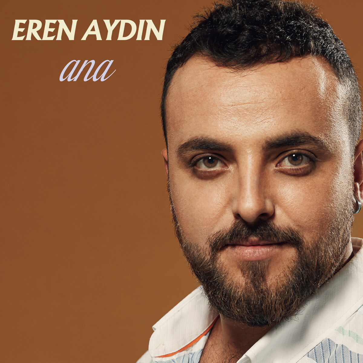 Album cover of Ana