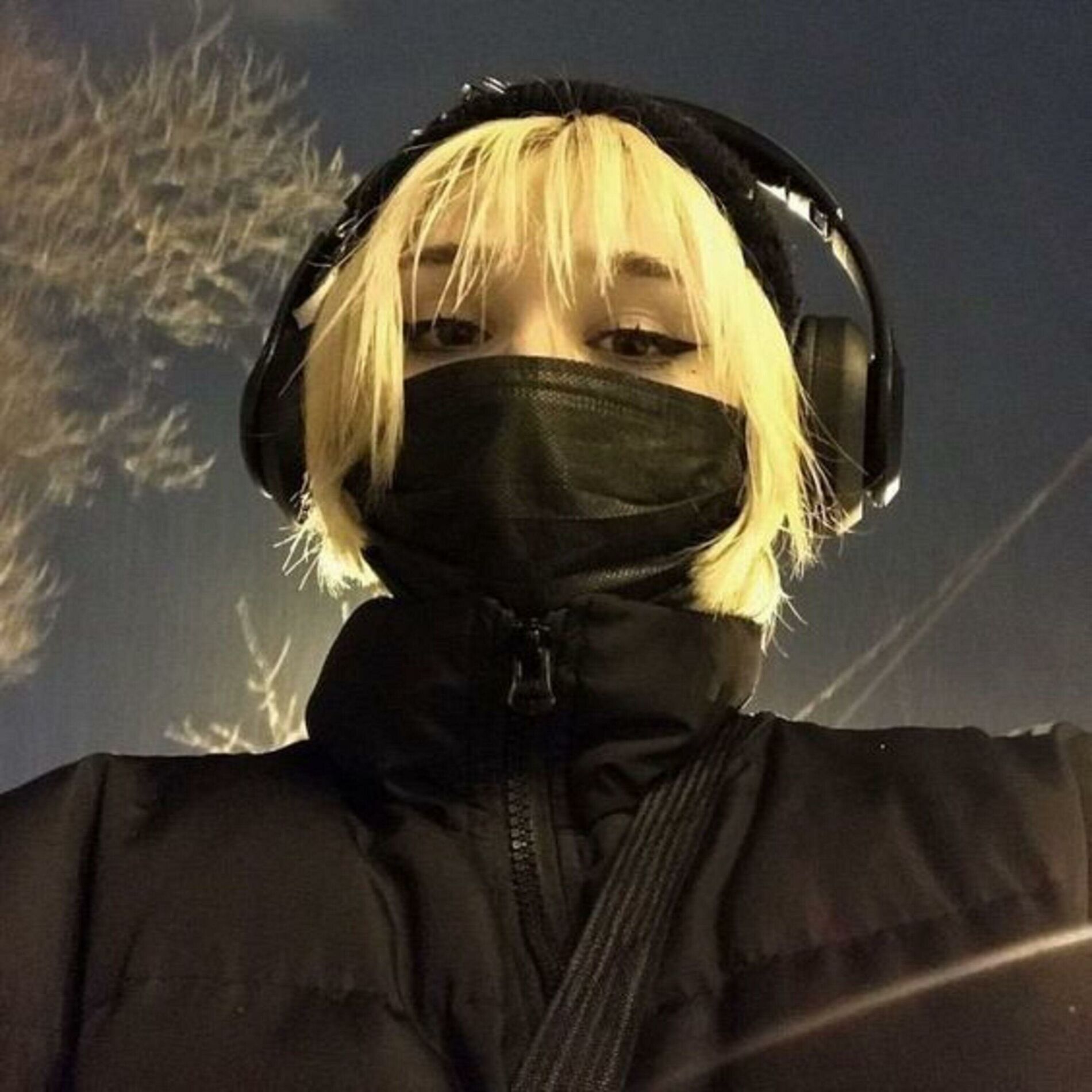 Album cover of Timeless