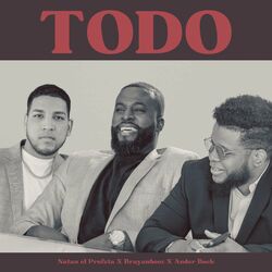 Cover of TODO
