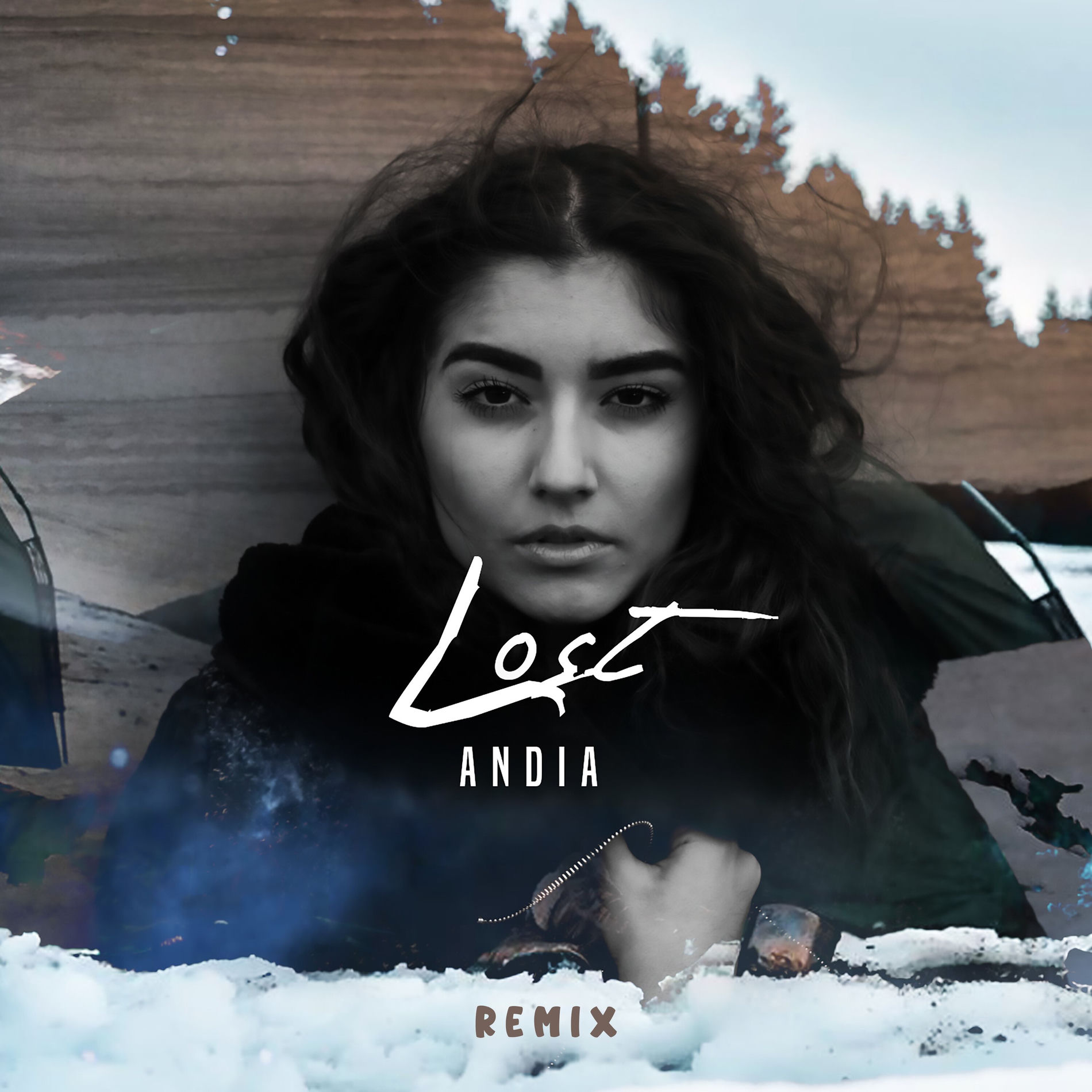 Album cover of Lost