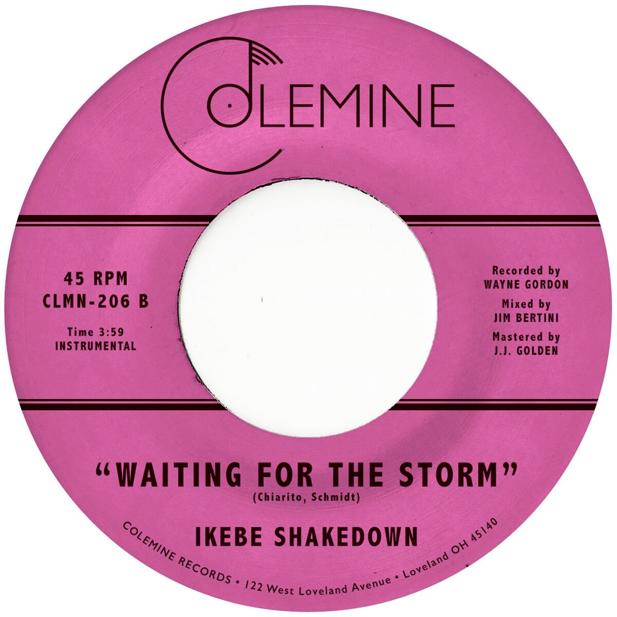 Album cover of Waiting For The Storm