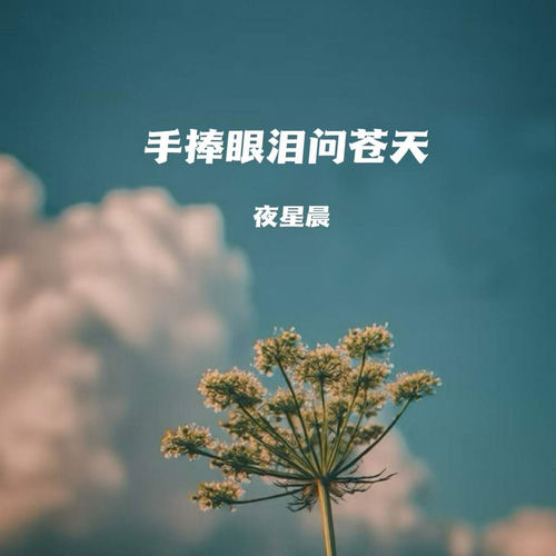 手捧眼泪问苍天