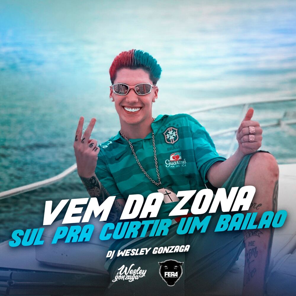 Picture of VEM DA ZONA SUL PRA CURTIR UM BAILÃO