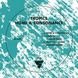 Cover of Home and Consonance