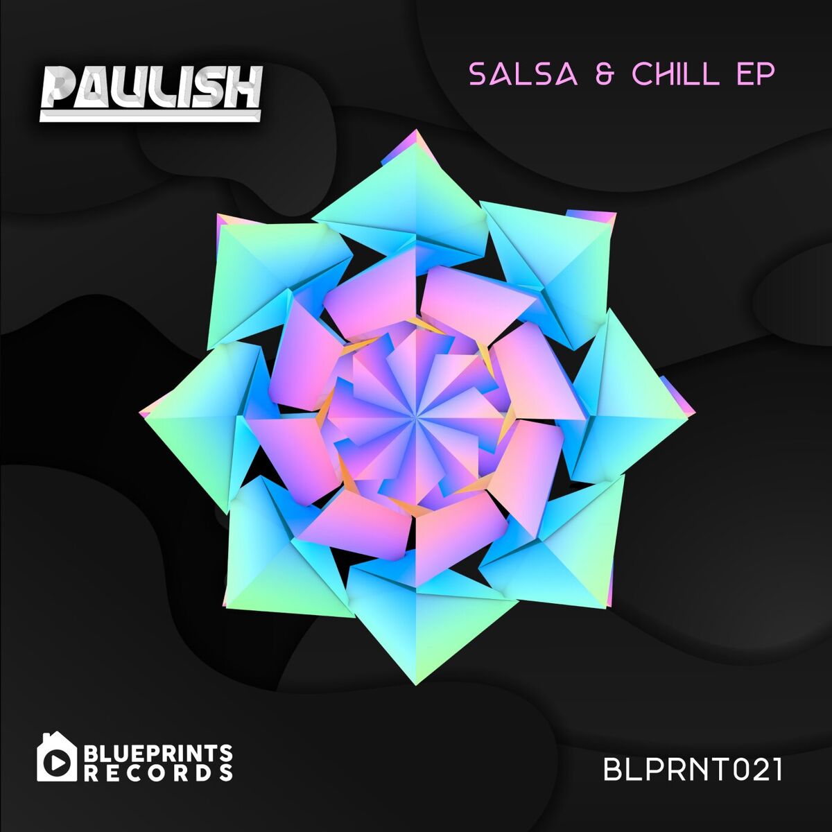 Album cover of Salsa and Chill