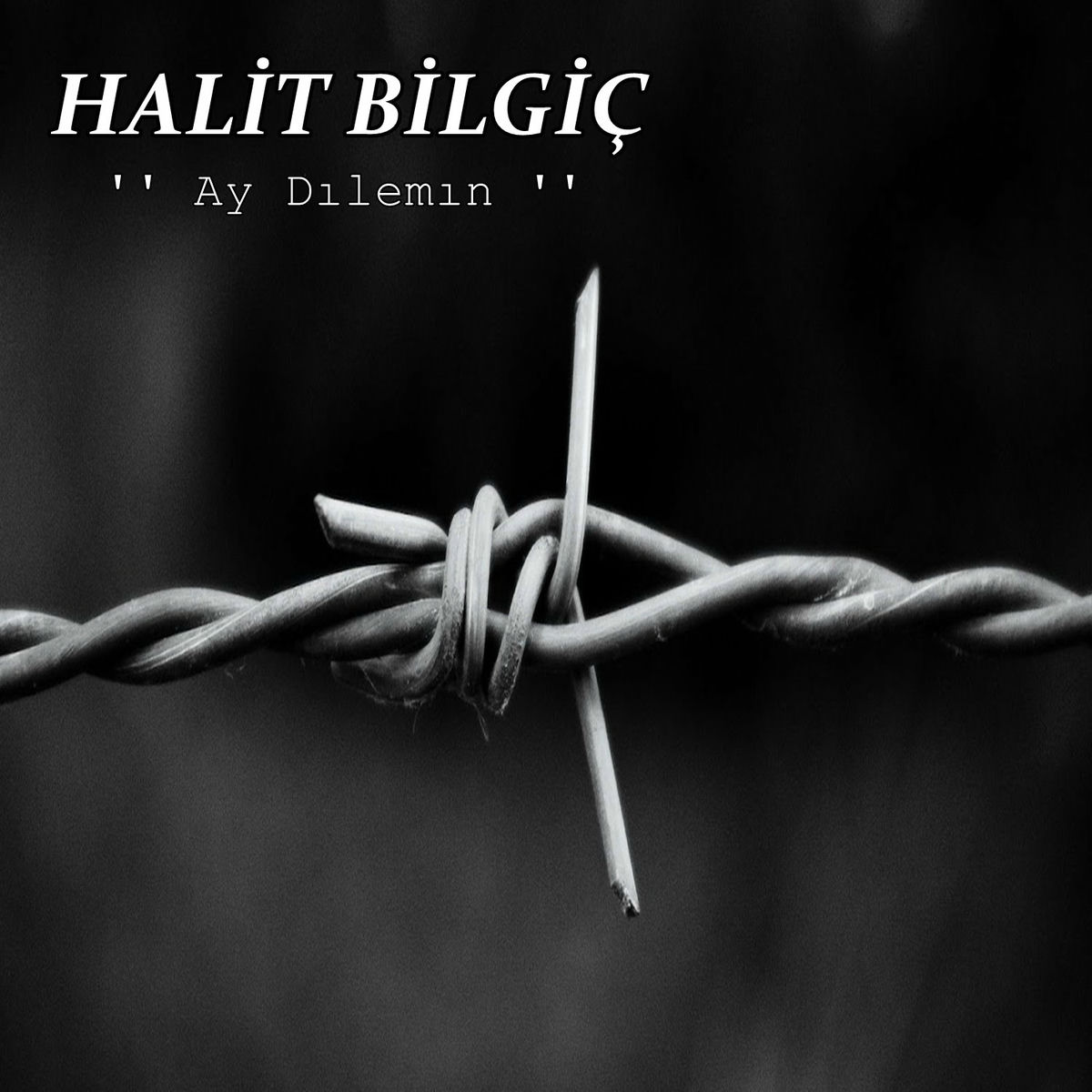 Album cover of Ay Dılemın