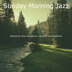 Cover of Backdrop for Stress Management - Wondrous Tenor Saxophone