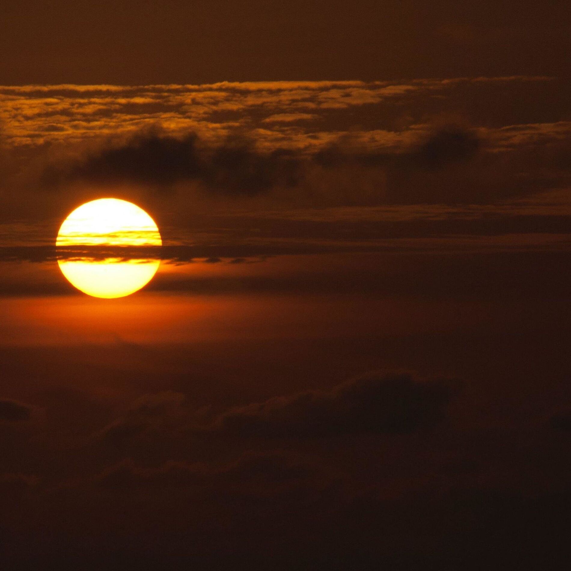 Album cover of Sun Feelings