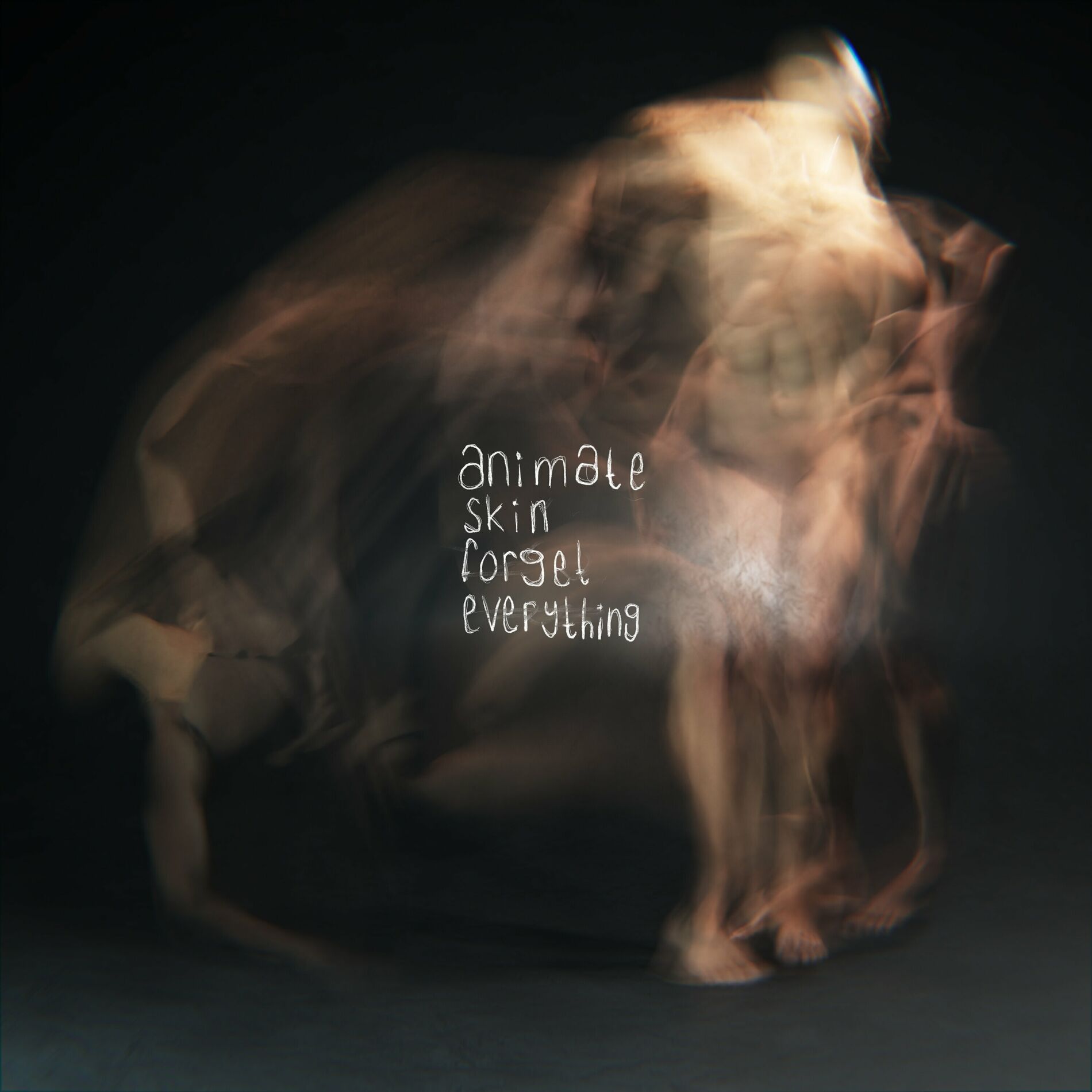 Album cover of Animate Skin Forget Everything