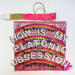 Cover of How Is My Platonic Obsession?