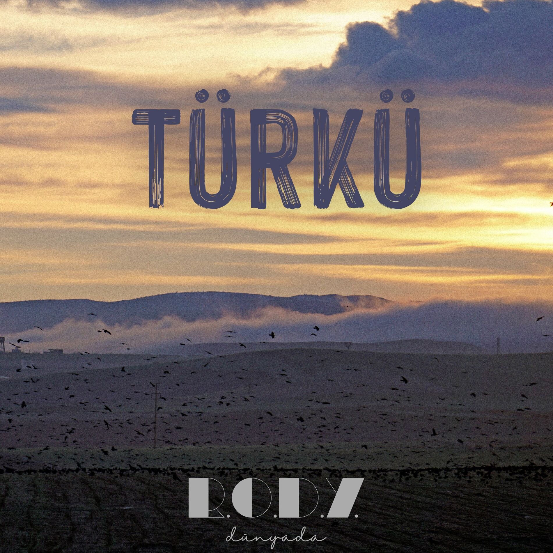 Album cover of Türkü