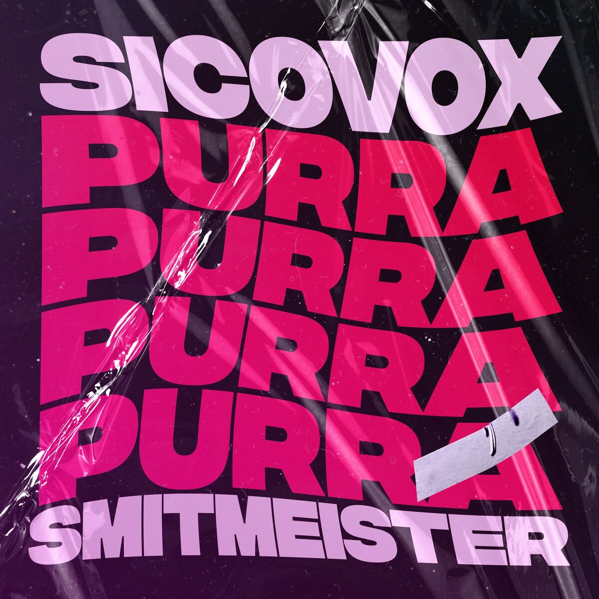 Album cover of Purra