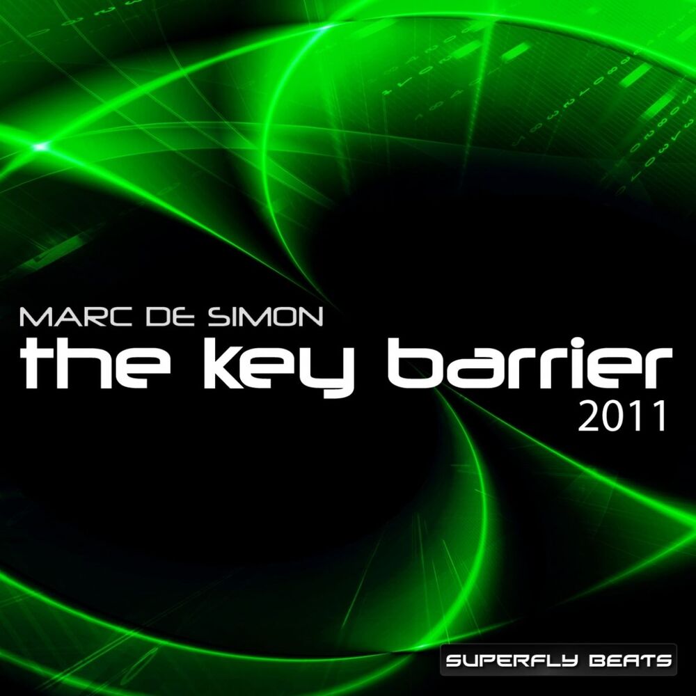 Picture of The Key Barrier (2011)