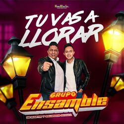 Cover of Tu Vas a Llorar