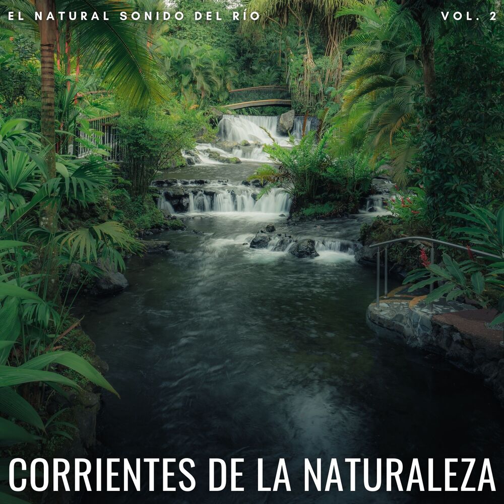 Picture of Corrientes De La Naturaleza: El Natural Sonido Del Río Vol. 2