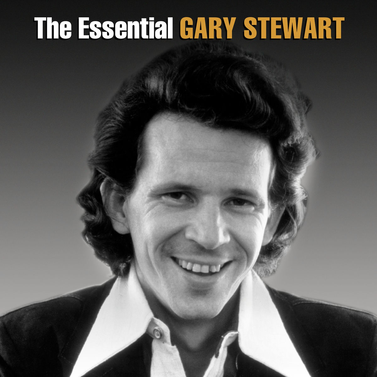 Album picture of The Essential Gary Stewart