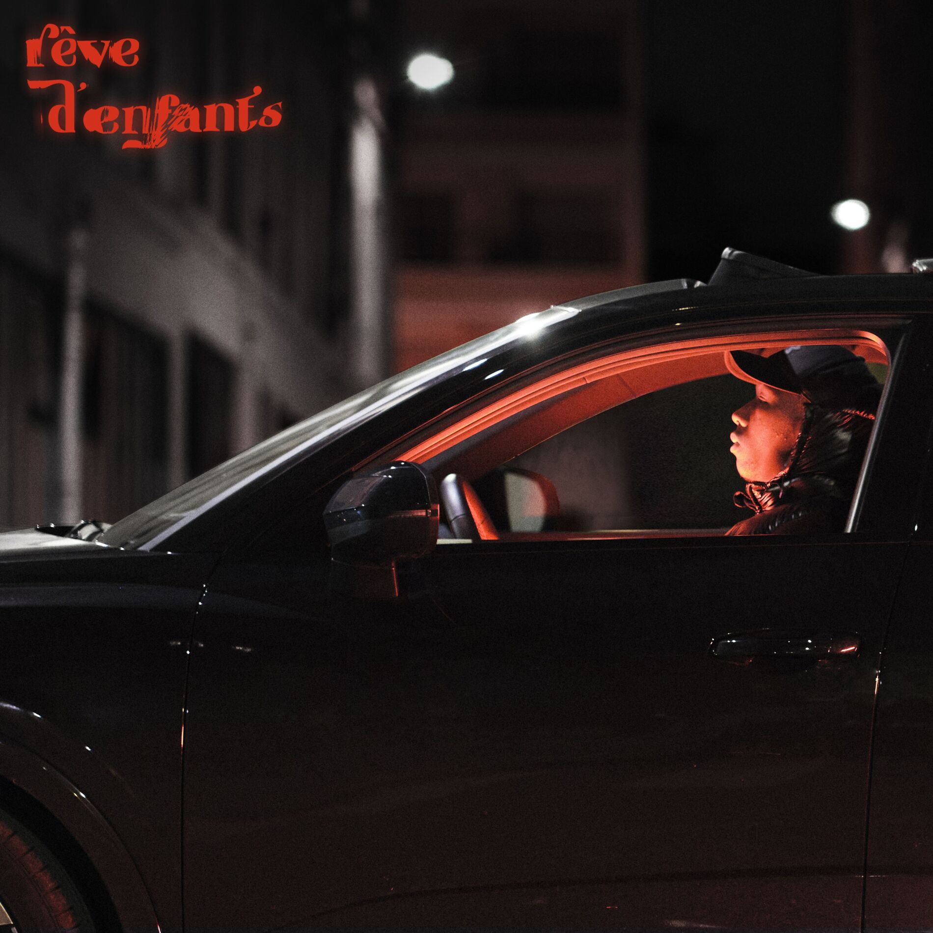 Album cover of PARDONNABLE