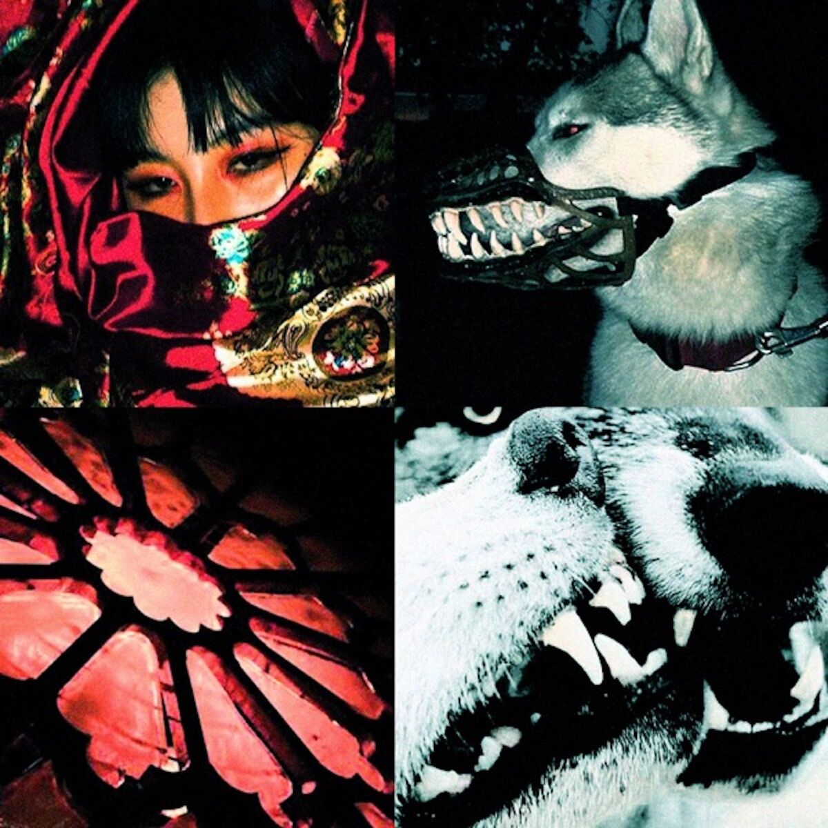 Album cover of Evol