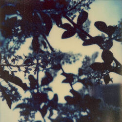 Cover of Jodo