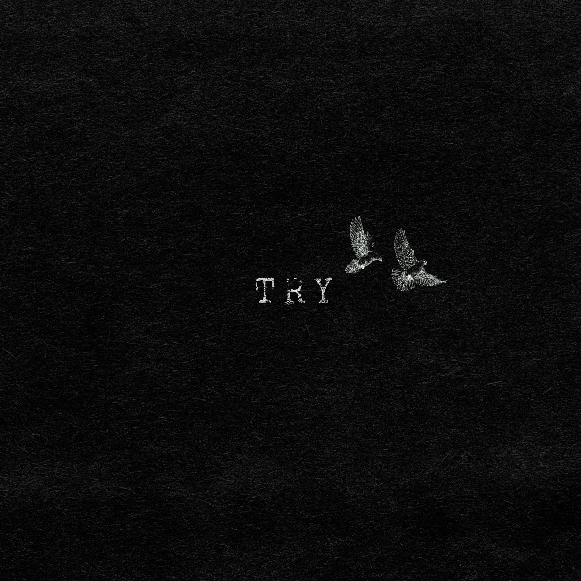 Album cover of Try