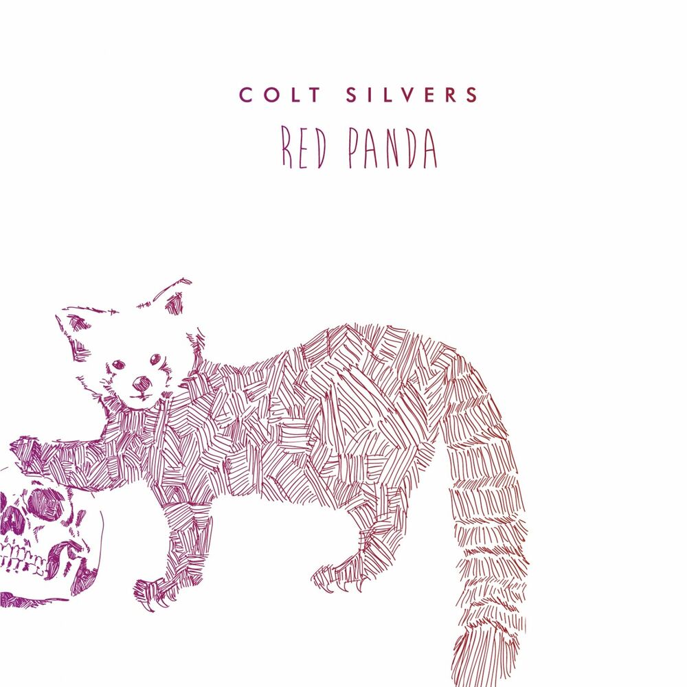 Picture of Red Panda